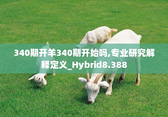 340期开羊340期开始吗,专业研究解释定义_Hybrid8.388