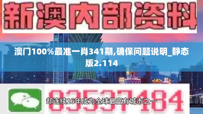 澳门100%最准一肖341期,确保问题说明_静态版2.114