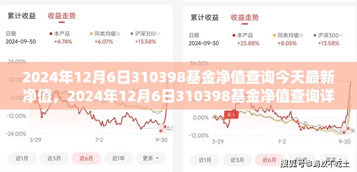 2024年12月6日310398基金净值查询今天最新净值，2024年12月6日310398基金净值查询详细步骤指南（初学者/进阶用户适用）