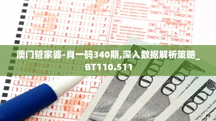 澳门管家婆-肖一码340期,深入数据解析策略_BT110.511