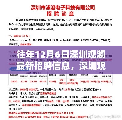 深圳观澜最新招聘奇遇，工作、友情与温暖的交织