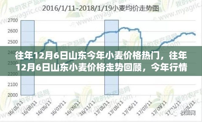 历年12月6日山东小麦价格走势回顾与今年行情热门解读