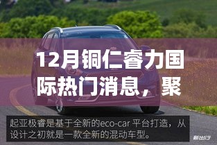 铜仁睿力国际十二月热门消息深度解读与观点争议聚焦