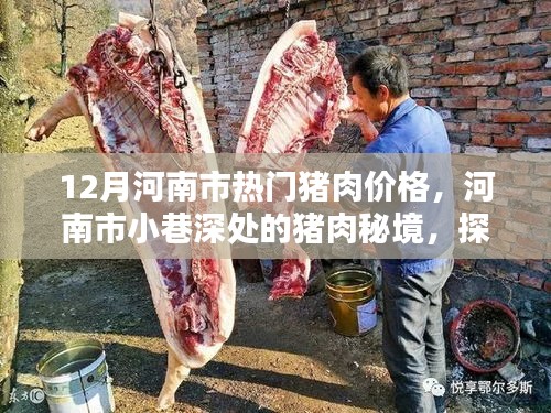 河南市小巷深处的猪肉秘境，探寻十二月热门猪肉价格的独特风味与故事