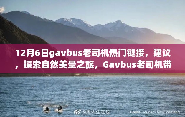 Gavbus老司机带你远离尘嚣，探索自然美景之旅，热门链接揭秘心灵之旅的宁静之地（非涉黄内容）