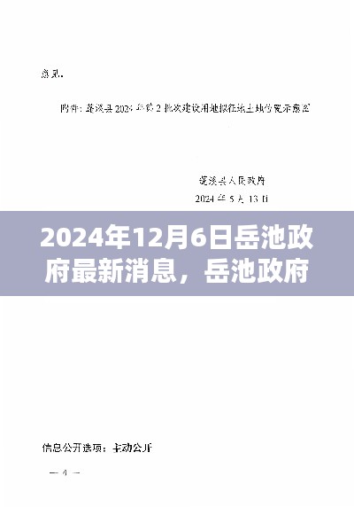 岳池政府最新动态发布，获取并理解岳池政府最新消息指南（2024年12月6日）