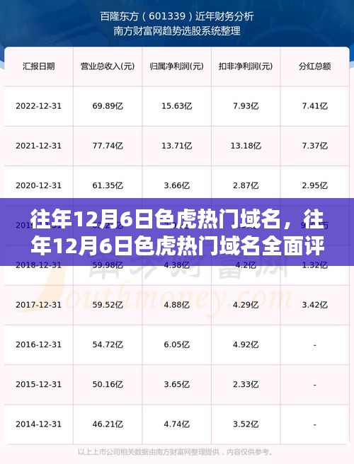 往年12月6日色虎热门域名深度解析，特性、体验、对比与用户群体分析