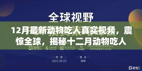 揭秘震惊全球的十二月动物吃人真实视频幕后故事