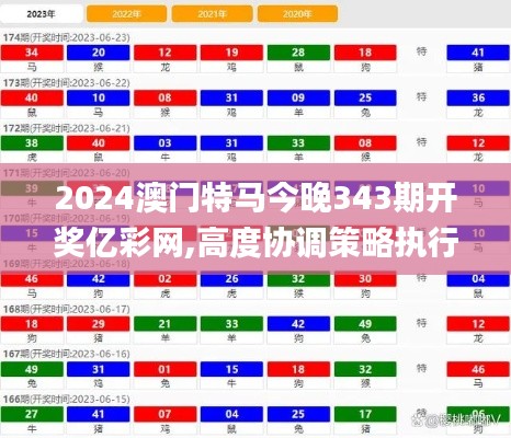 2024澳门特马今晚343期开奖亿彩网,高度协调策略执行_DX版19.133