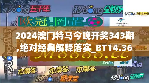 2024澳门特马今晚开奖343期,绝对经典解释落实_BT14.360