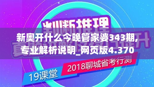 新奥开什么今晚管家婆343期,专业解析说明_网页版4.370