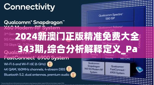2024新澳门正版精准免费大全343期,综合分析解释定义_PalmOS13.249