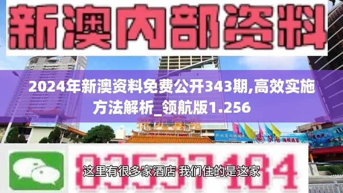 2024年新澳资料免费公开343期,高效实施方法解析_领航版1.256