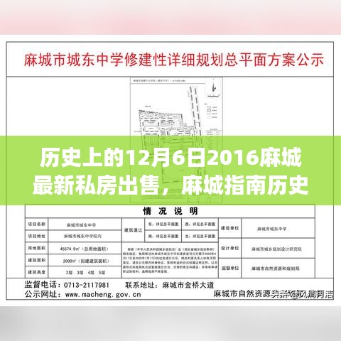 麻城私房出售攻略，历史上的今天与最新私房出售指南（初学者与进阶用户必读）