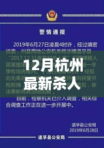 深度解析，杭州最新杀人案回顾与探讨（2017年）