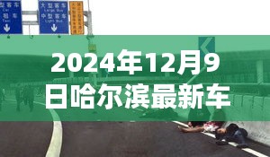 哈尔滨车祸预警系统，科技之光照亮安全之路，最新车祸事件报道（2024年）