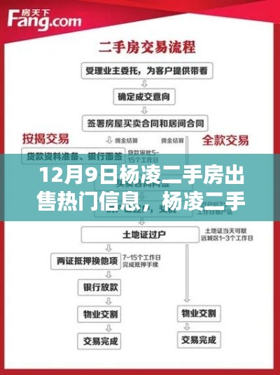 杨凌二手房出售指南，热门信息与全流程详解（适合初学者与进阶用户）