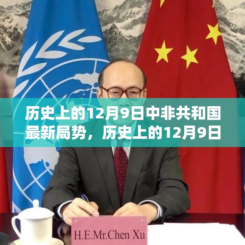 历史上的12月9日中非共和国局势深度解析与最新动态回顾