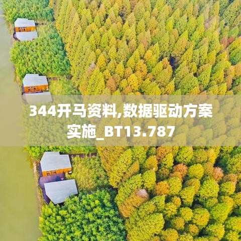 344开马资料,数据驱动方案实施_BT13.787