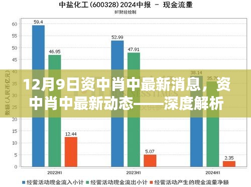 资中肖中最新动态深度解析，三大要点一览（12月9日版）