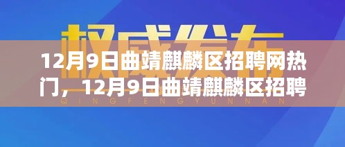 12月9日曲靖麒麟区招聘网热门职位深度解析与探讨