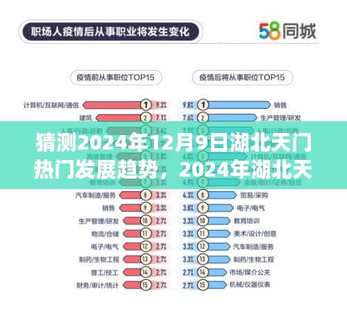 2024年湖北天门发展趋势展望，热门领域深度解析与预测