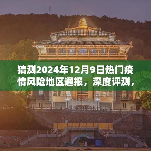 2024年12月10日 第28页