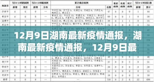 湖南最新疫情通报，12月9日数据更新，市民需保持警惕！