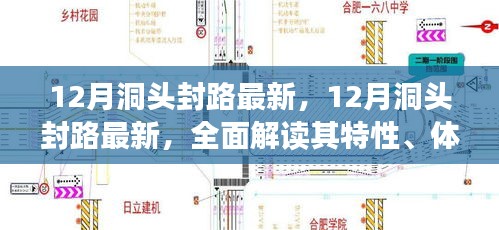 洞头封路最新动态，特性解析、用户体验、竞品对比及用户群体深度分析