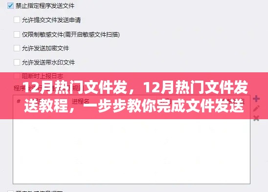 12月热门文件发送指南，一步步完成文件发送任务教程