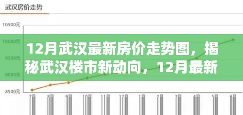 揭秘武汉楼市新动向，12月最新房价走势图深度解析与趋势预测
