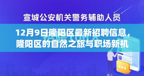 隆阳区最新招聘与美景探索，职场新机遇与自然之旅的双重体验