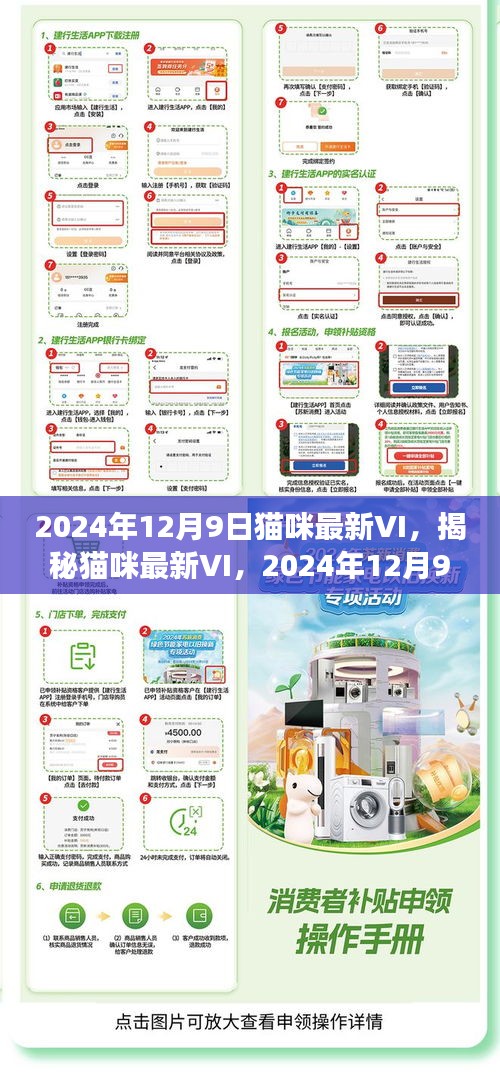 揭秘猫咪最新VI，2024年猫咪健康潮流展望（日期更新版）