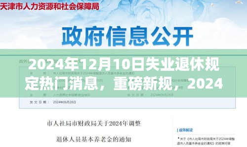 重磅新规揭秘，2024年失业退休规定深度解读与生活应对策略，影响广泛！