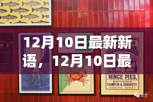 12月10日最新新语，时尚潮流与生活小贴士的新鲜资讯汇总