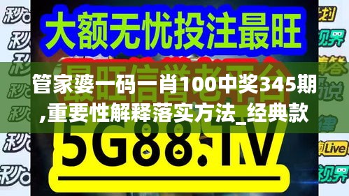 管家婆一码一肖100中奖345期,重要性解释落实方法_经典款2.336