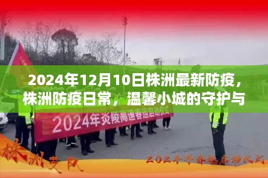 株洲防疫日常，温馨小城的守护与陪伴（最新更新至2024年）