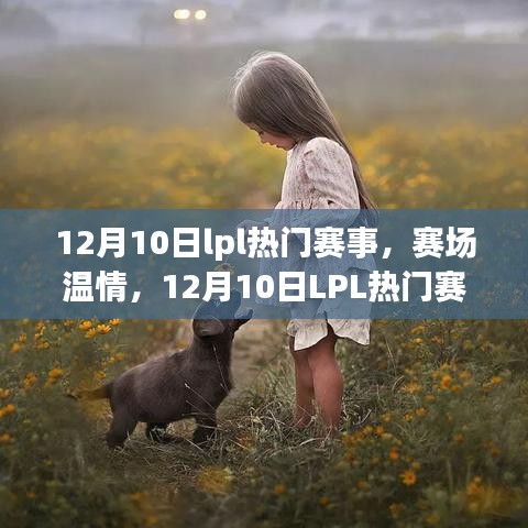 12月10日LPL赛场温情与欢乐时光