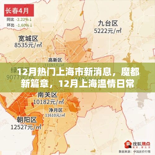 上海十二月新动态，温情日常与都市新篇章