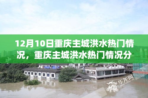 重庆主城洪水热门情况解析，影响、观点与个人立场分析