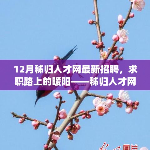 秭归人才网12月最新招聘，求职路上的温暖驿站