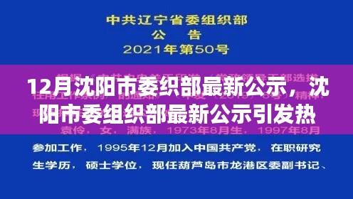 沈阳市委组织部最新公示引发热议，深度剖析某某观点