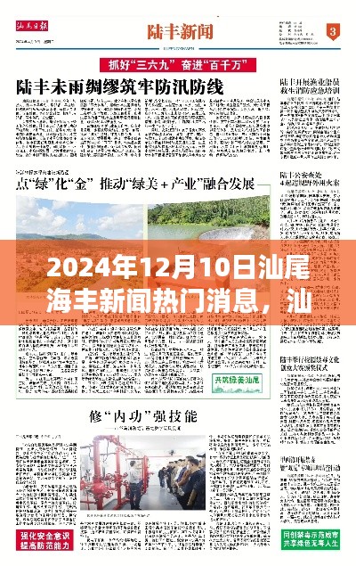 汕尾海丰新闻热门消息获取指南，初学者与进阶用户通用指南（2024年12月10日）