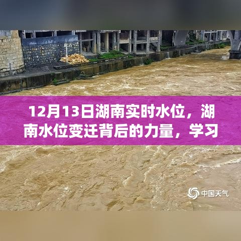 湖南水位变迁背后的力量，实时观察、学习与自信的源泉