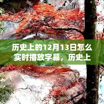 历史上的12月13日，与自然美景的邂逅，启程寻找内心平静的旅程及实时字幕播放