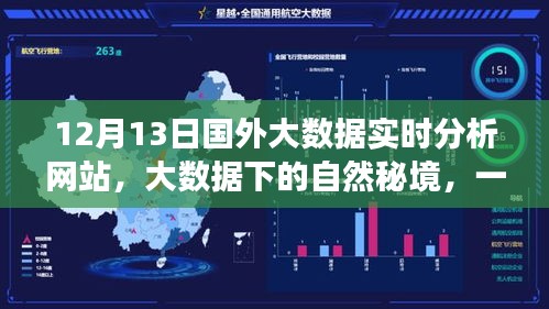 大数据下的自然秘境探索，心灵之旅启程于国外大数据实时分析网站（12月13日）