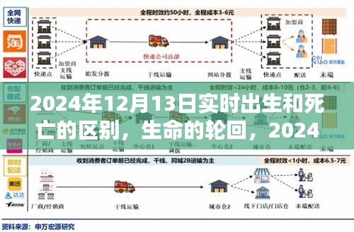 生命的轮回，实时探讨出生与死亡的深度区别，2024年12月13日视角