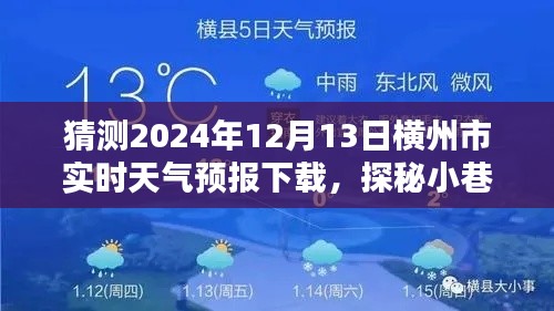 横州市天气预报下载，探秘小巷隐世宝与独特魅力，横州市天气预报下载预测及探秘之旅