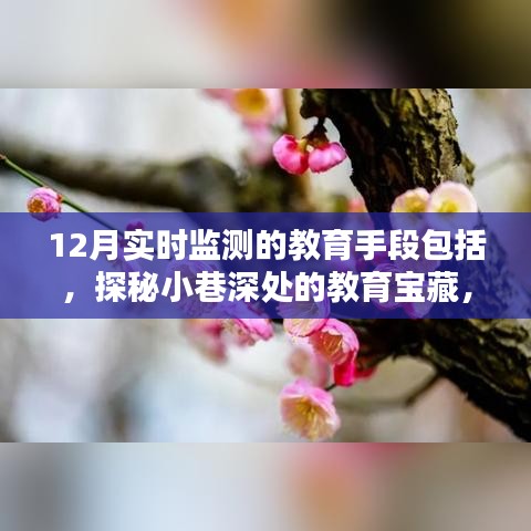 2024年12月15日 第14页