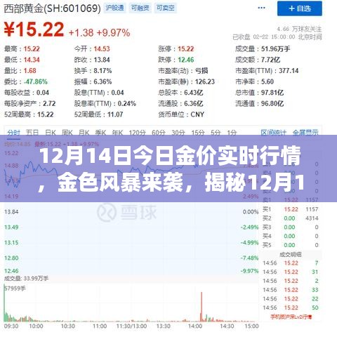 揭秘金色风暴来袭，今日金价实时行情与财富增长之路